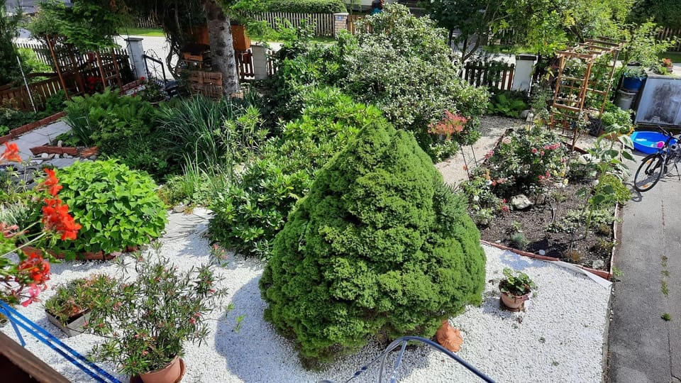 Garden view