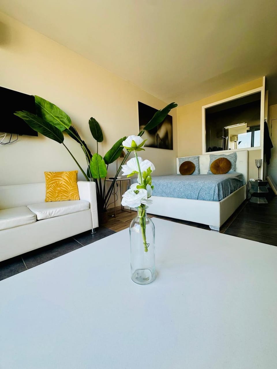 Naturiste Cap d'Agde Héliopolis C 39 Apartment in Agde
