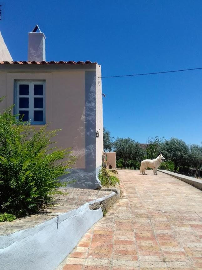 Linhal das Meias - São José das Matas Farm Stay in Santarém District, Portugal