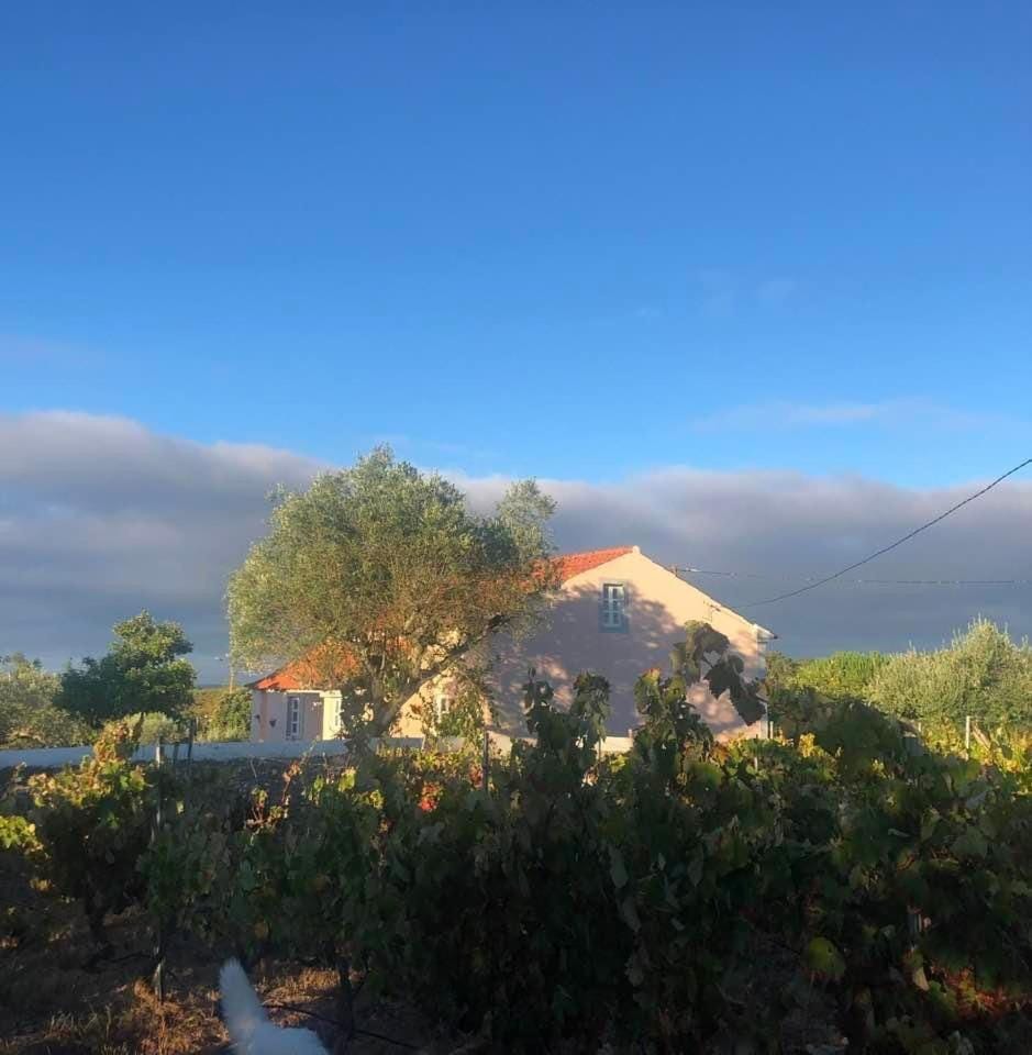 Linhal das Meias - São José das Matas Farm Stay in Santarém District, Portugal