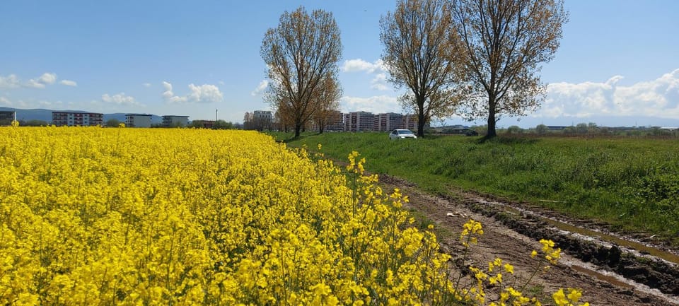 Natural landscape