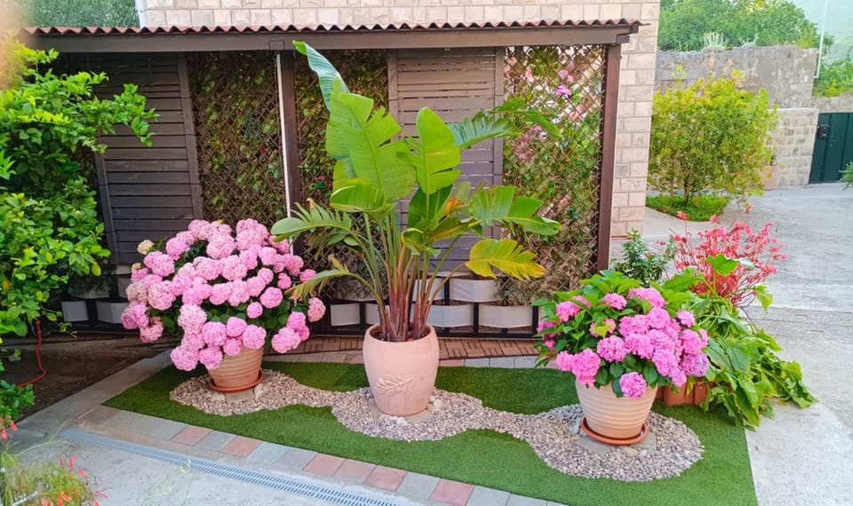 Day, Garden