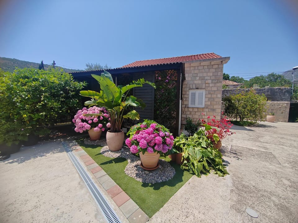 Day, Garden, Garden view