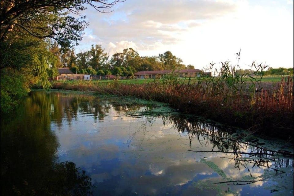 River view