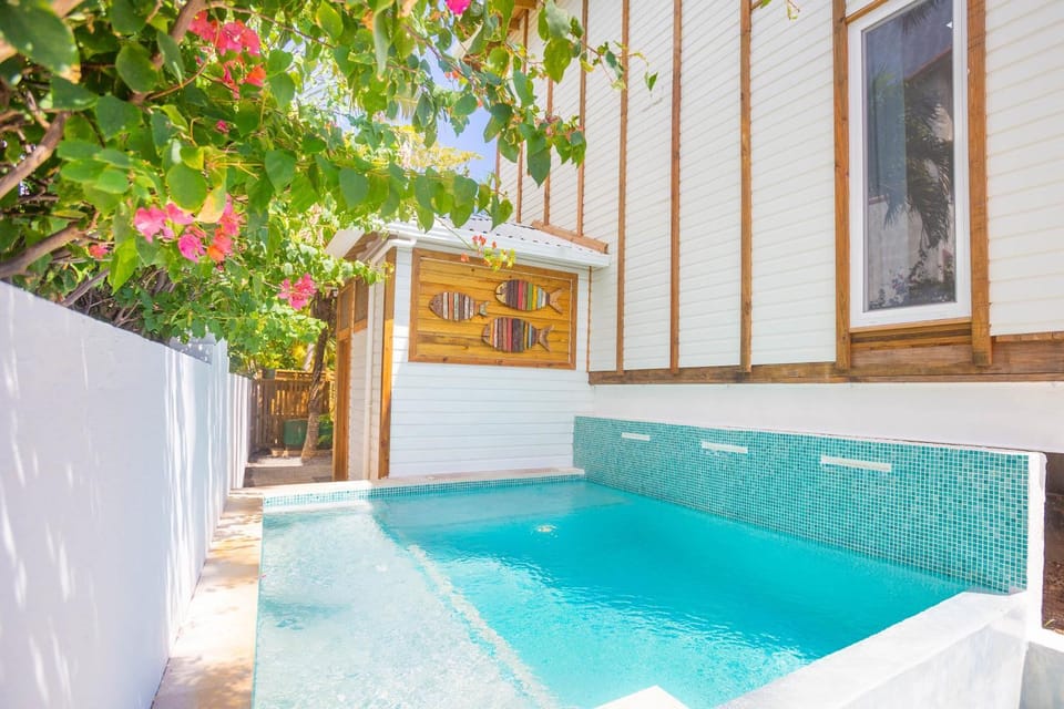Stunning views at - Villa Aire apts Apartment in West End