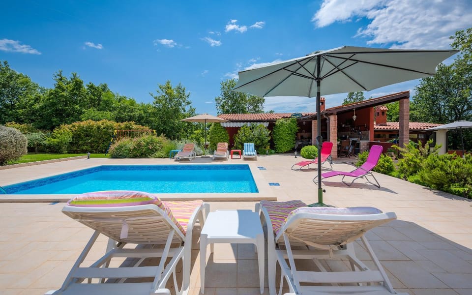 Natural landscape, Summer, Darts, Garden, Pets, Swimming pool, Swimming pool, Entertainment, Family