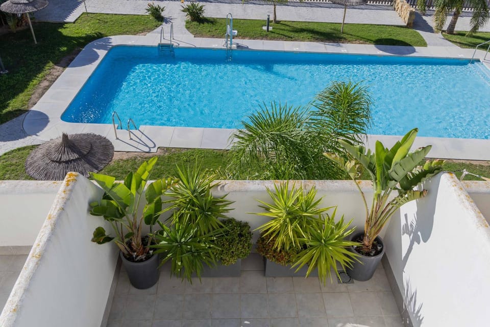 Day, Garden, Garden view, Pool view, Swimming pool