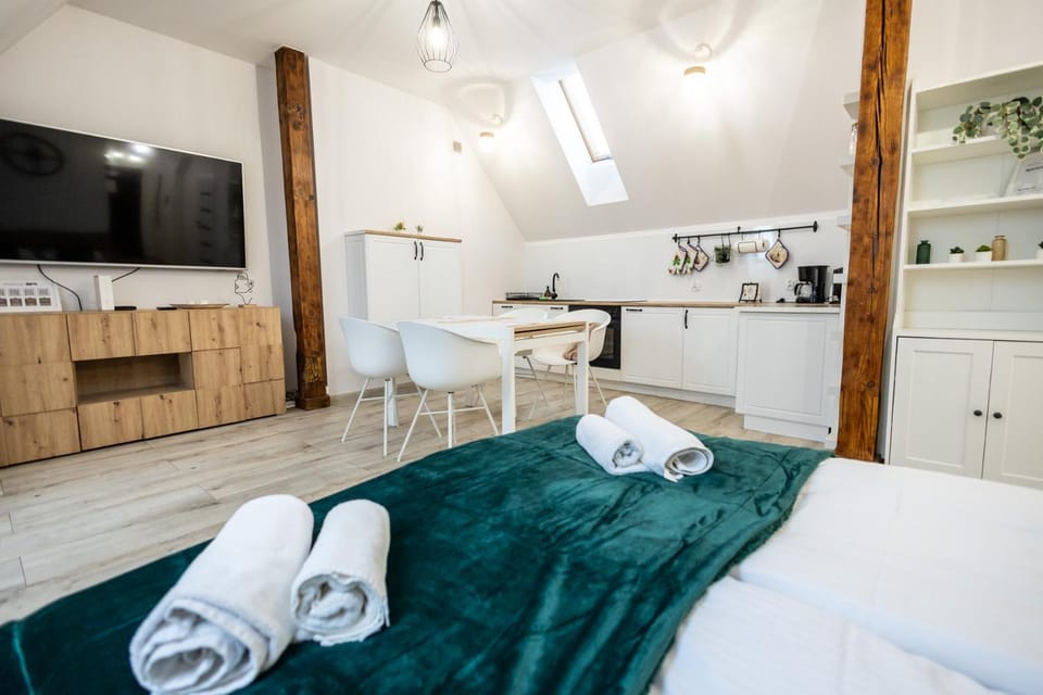 Bed, TV and multimedia, Kitchen or kitchenette, Photo of the whole room, Bedroom, towels