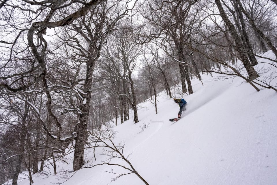 Day, Natural landscape, Winter, Skiing