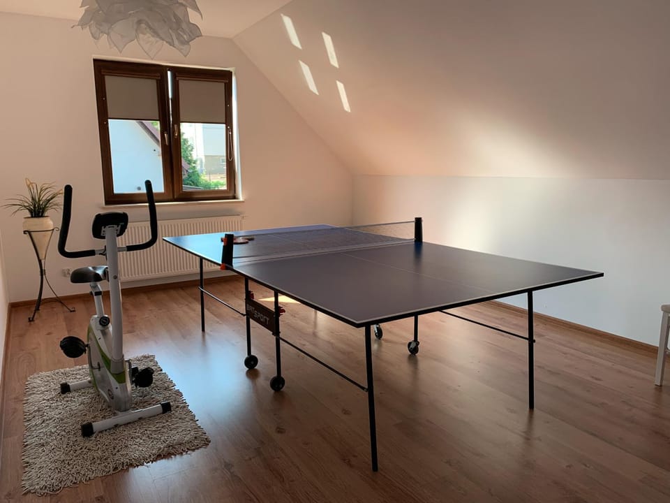Table tennis