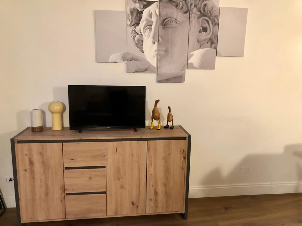 TV and multimedia