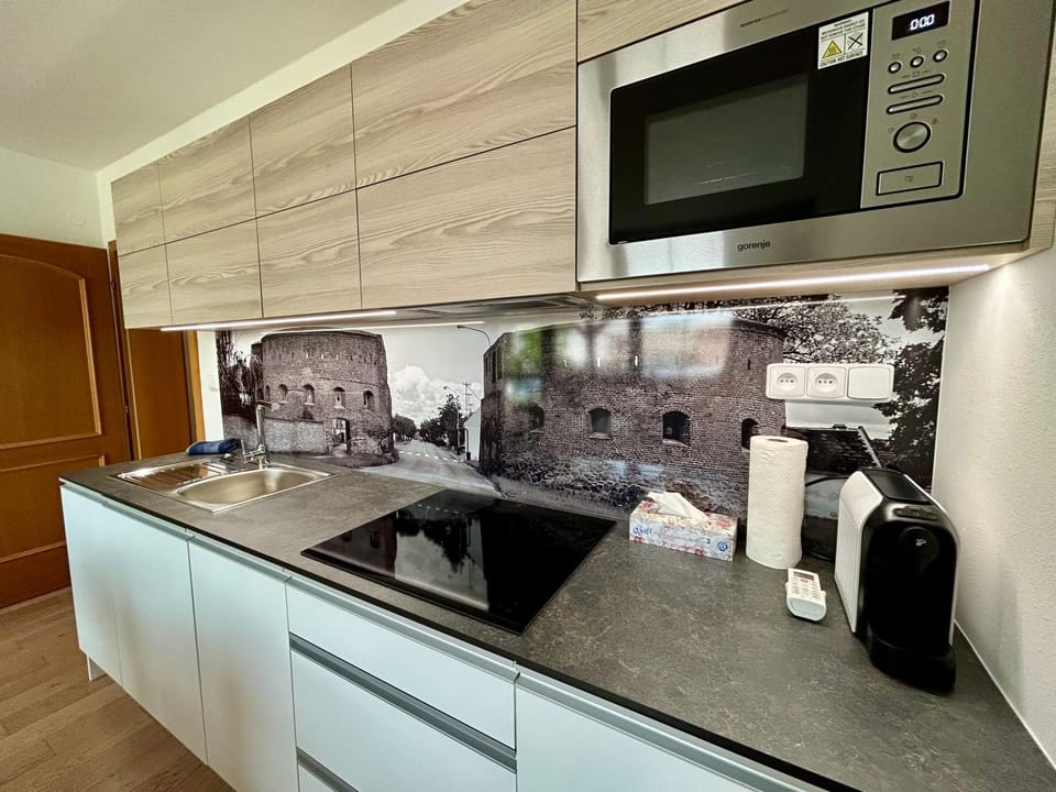 Apartmány Strážnice Apartment in South Moravian Region