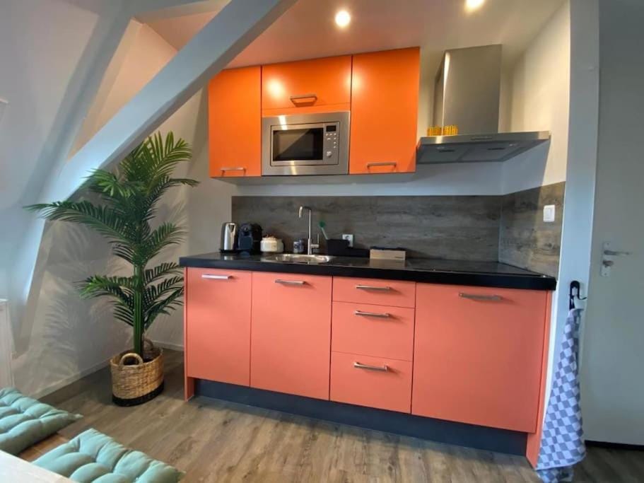 Casa Coral - a hidden gem for families Apartment in Groningen