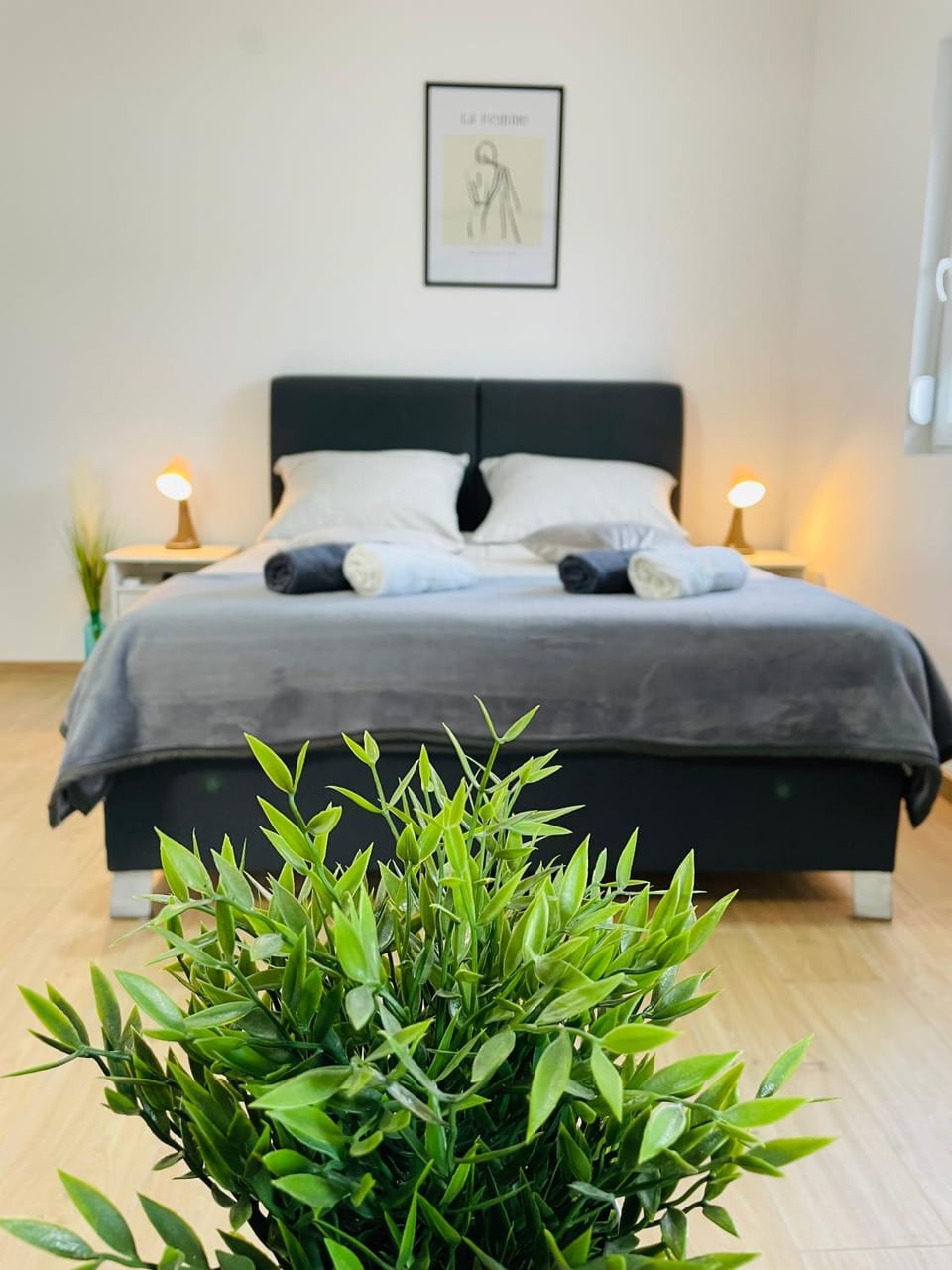 Bed, Photo of the whole room, Bedroom