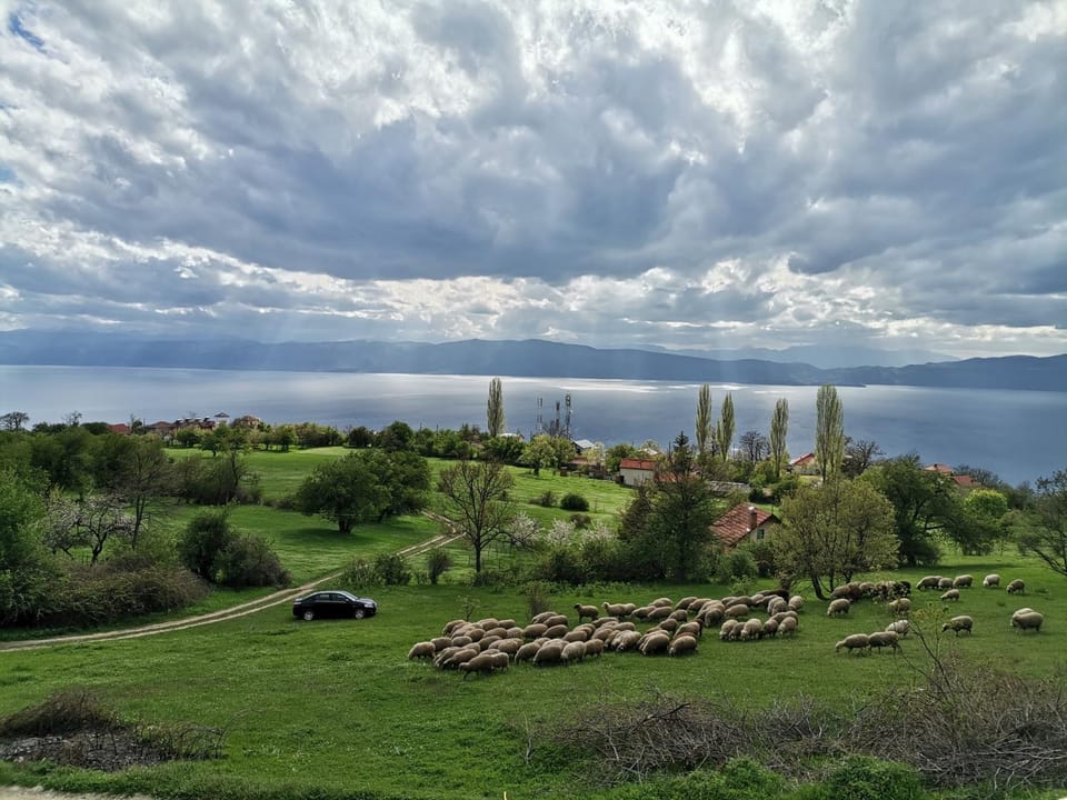 Natural landscape, Garden view, Lake view