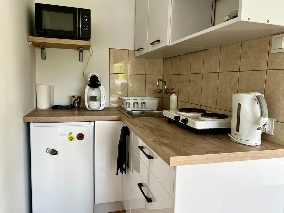 Kitchen or kitchenette, minibar, stove, kitchen