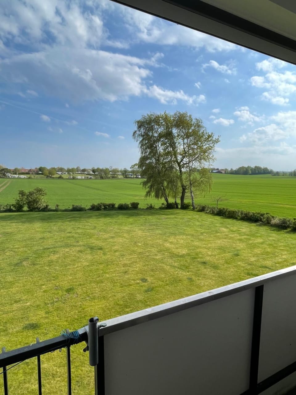 Balcony/Terrace, Garden view