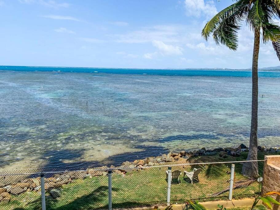 Newly Renovated 8 Bedroom Ocean Front Villa with Pool Villa in Rio Grande