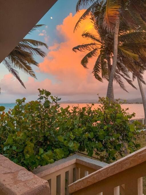 Newly Renovated 8 Bedroom Ocean Front Villa with Pool Villa in Rio Grande