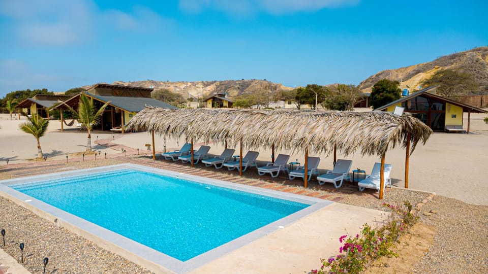 Area and facilities, Swimming pool