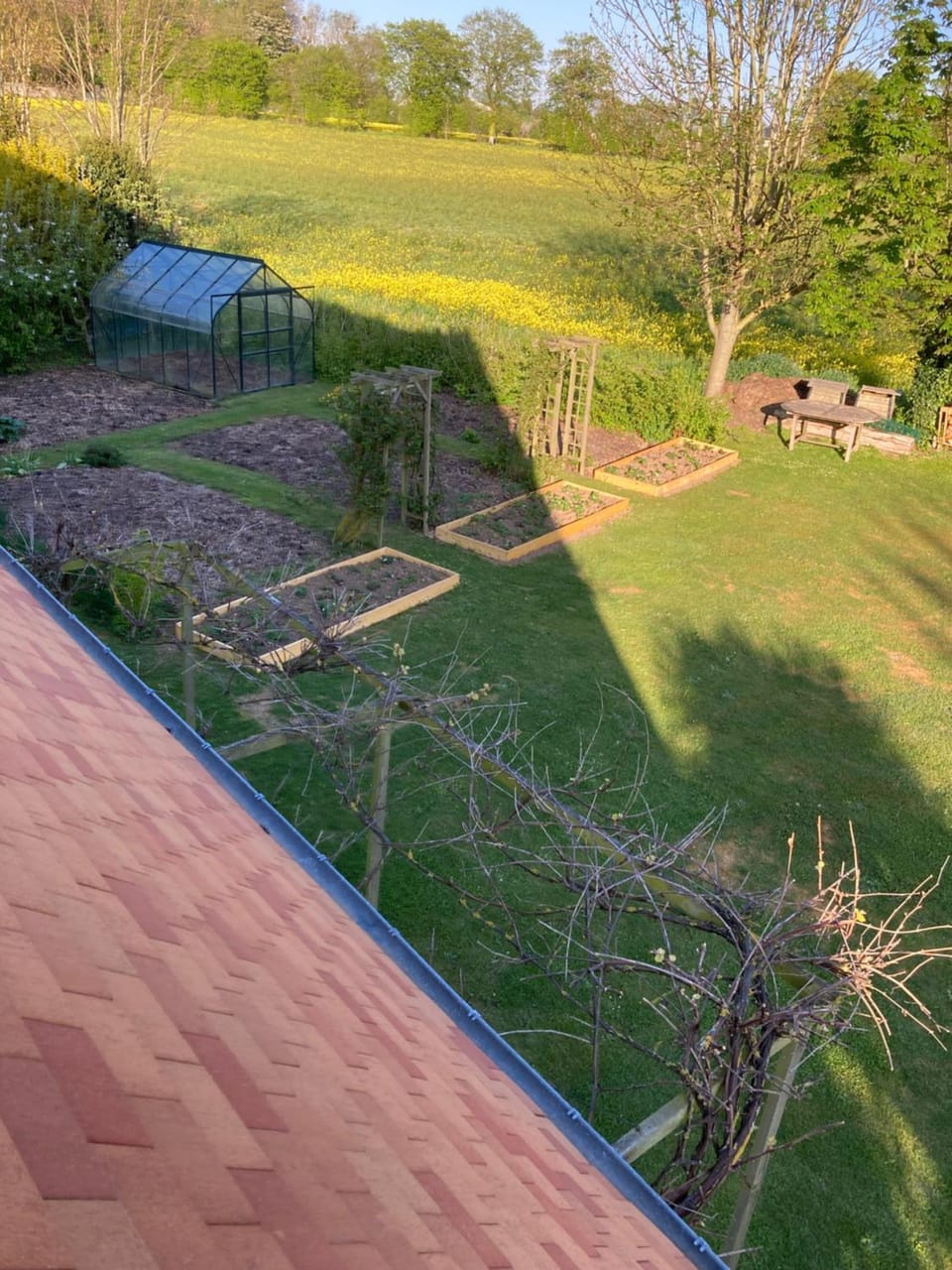 Garden view