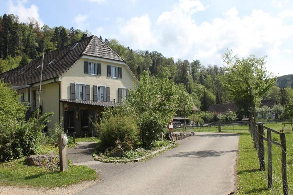 Property building, Garden
