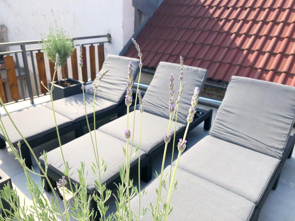 Balcony/Terrace, sunbed