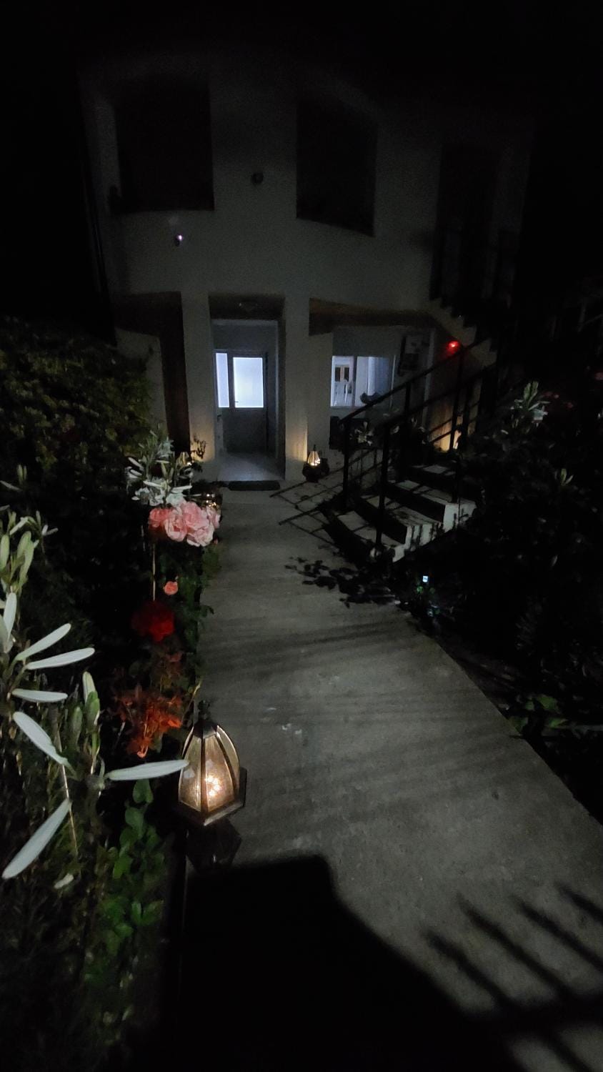 Night, Garden, Garden view