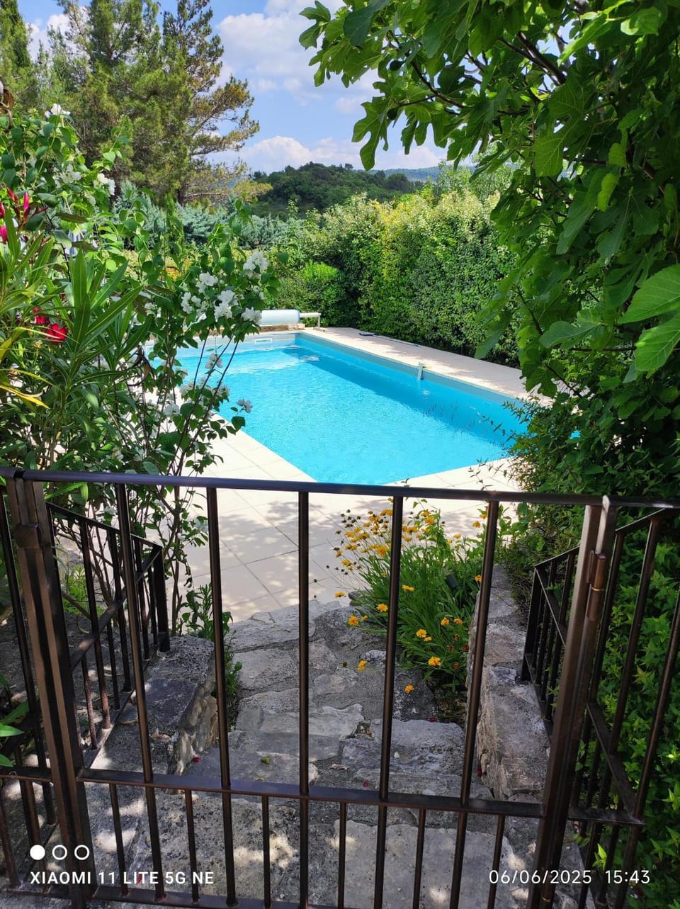 Garden, Pool view, Swimming pool
