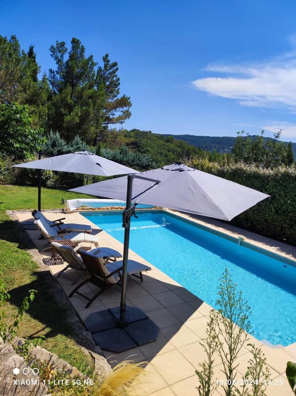Day, Natural landscape, Garden, Pool view, Swimming pool, sunbed