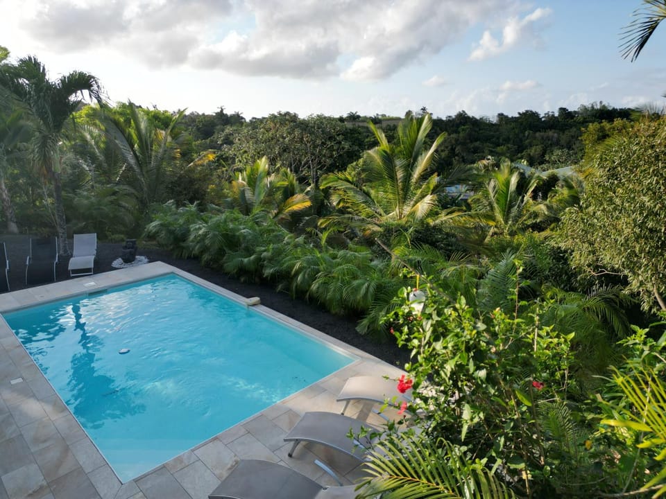 Garden, Swimming pool
