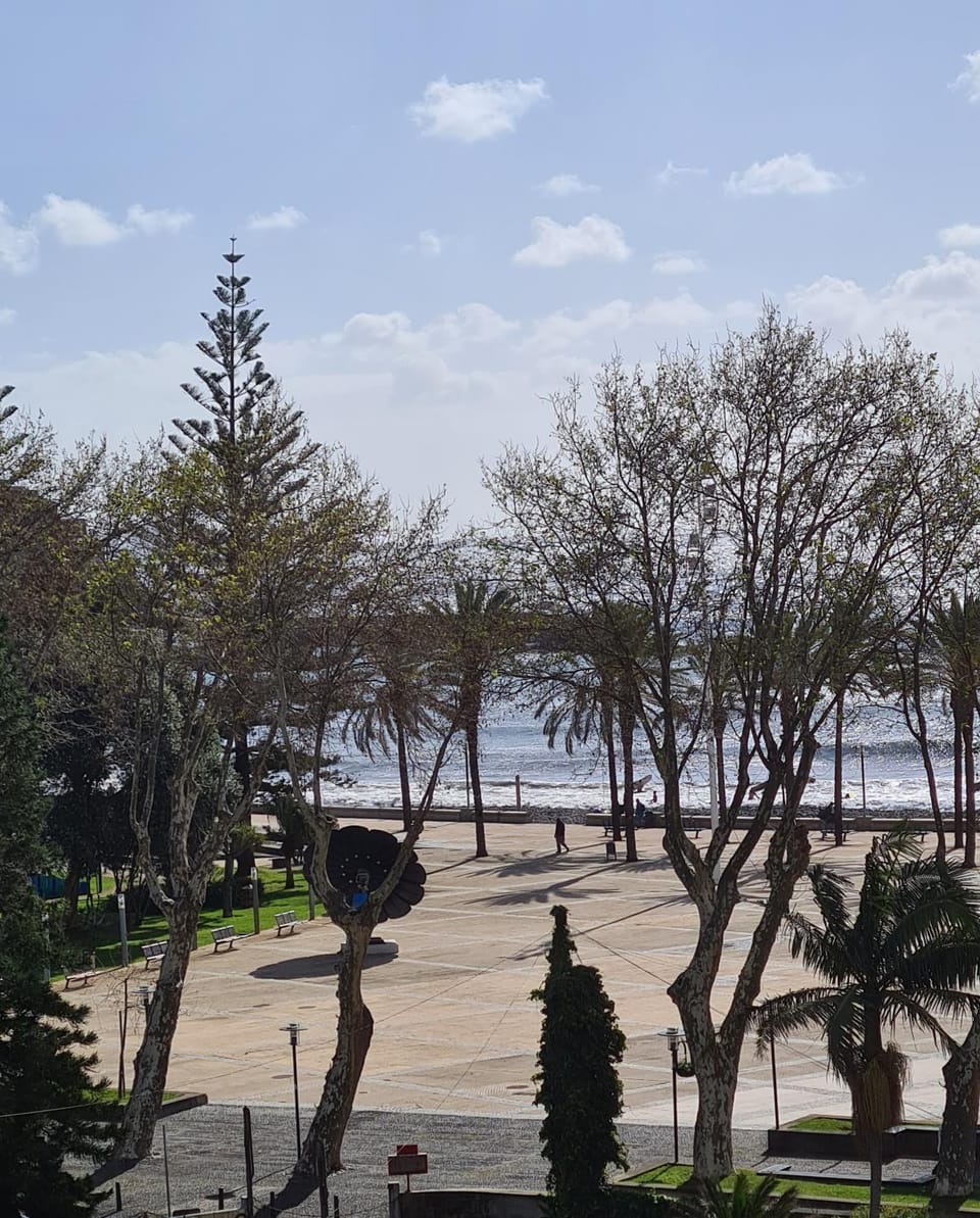 Machico Beach Comfort Apartment in Madeira District