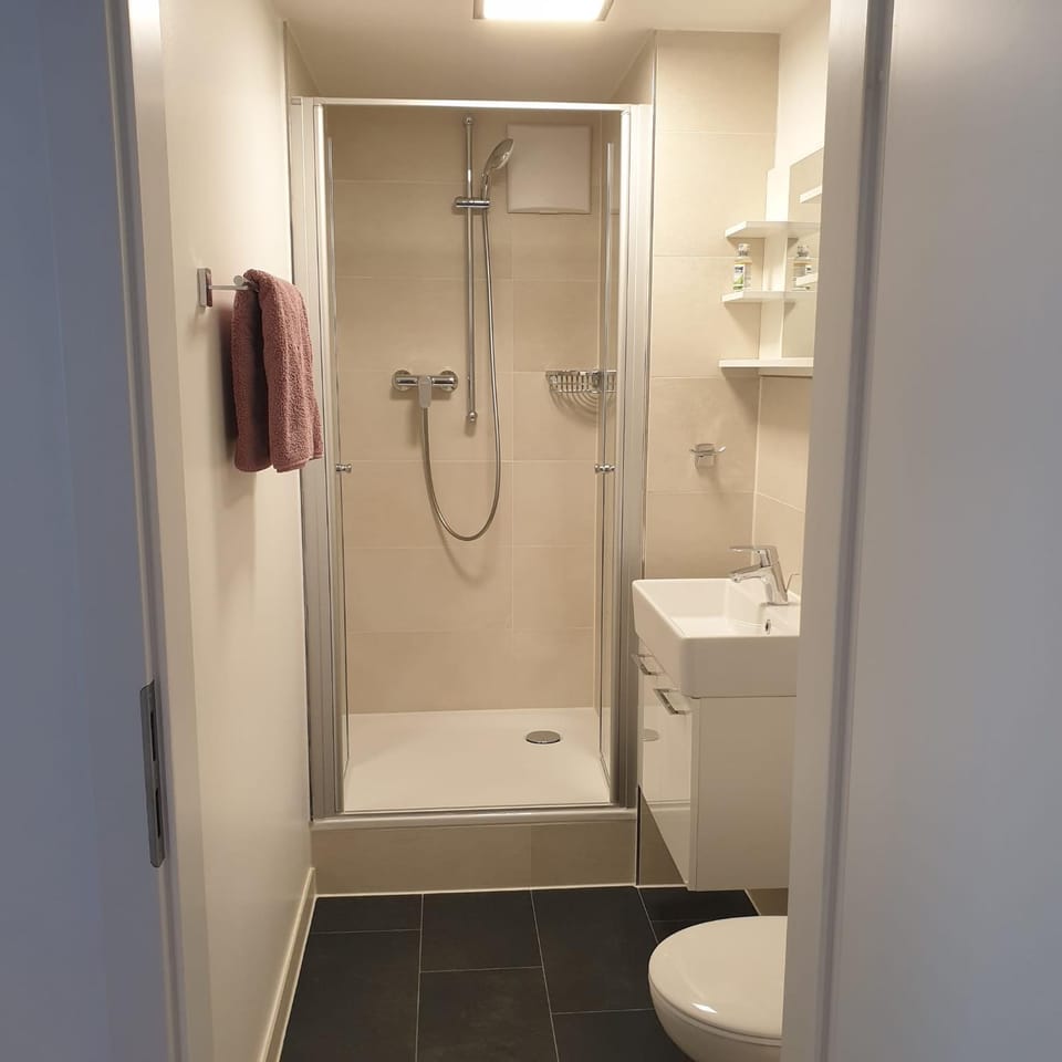 Shower, Toilet, Bathroom, towels