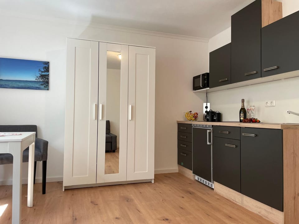 Kitchen or kitchenette, minibar, stove, wardrobe