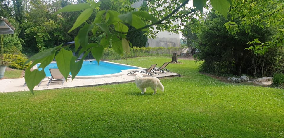 Swimming pool, Swimming pool