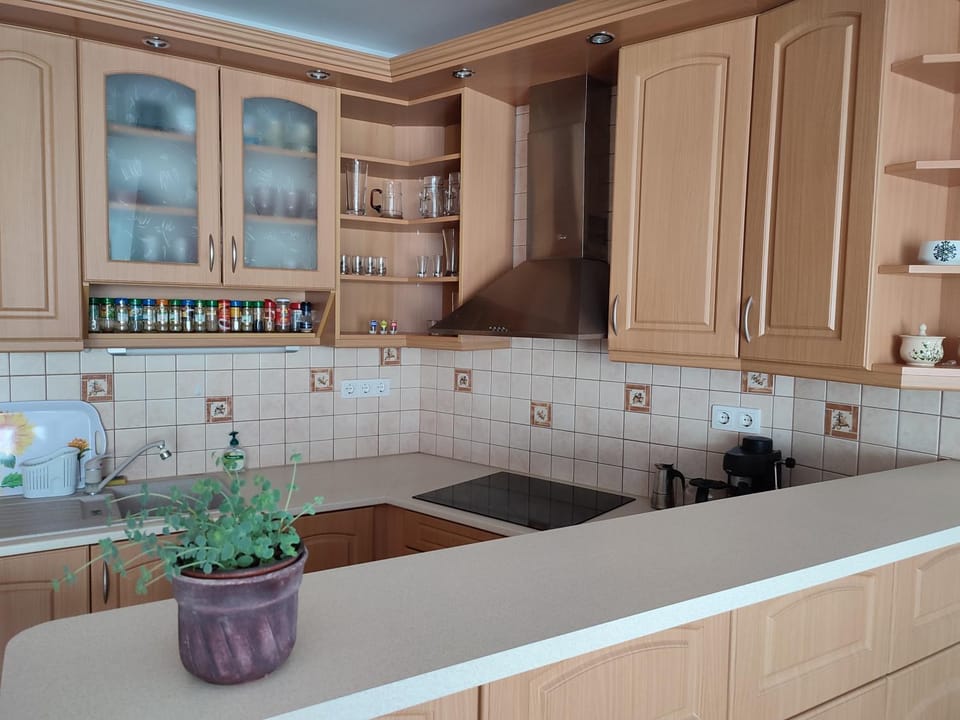 LARIX Apartman Apartment in Hungary