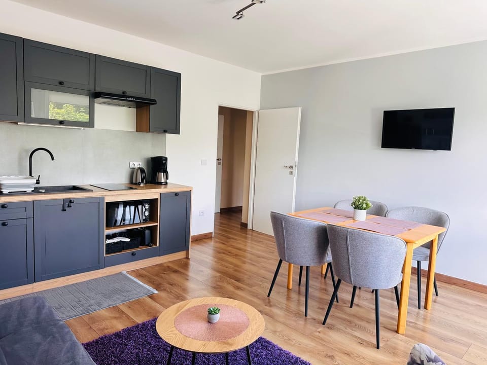 Kitchen or kitchenette, Dining area, stove