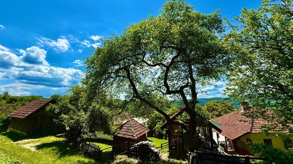 Etno kuća Parče neba House in Zlatibor District, Serbia