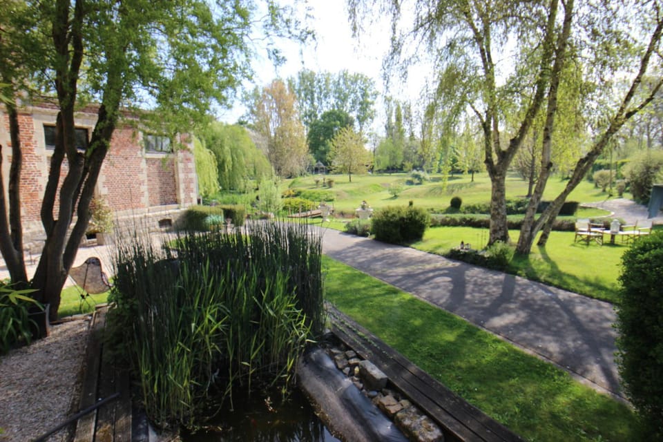 Property building, Garden, Garden view