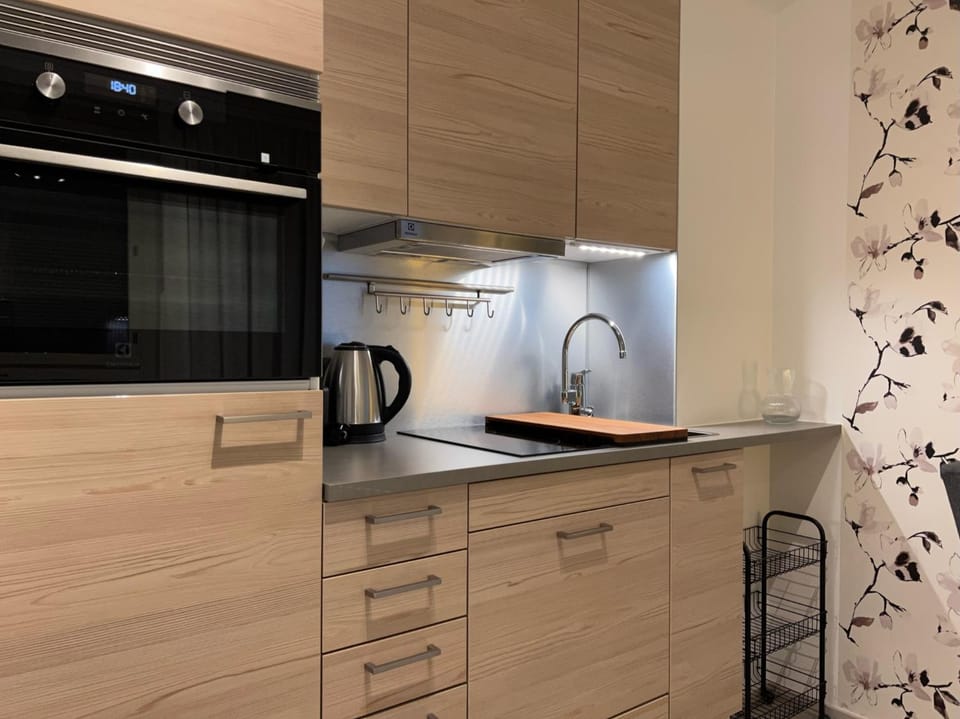 Kitchen or kitchenette, dishwasher