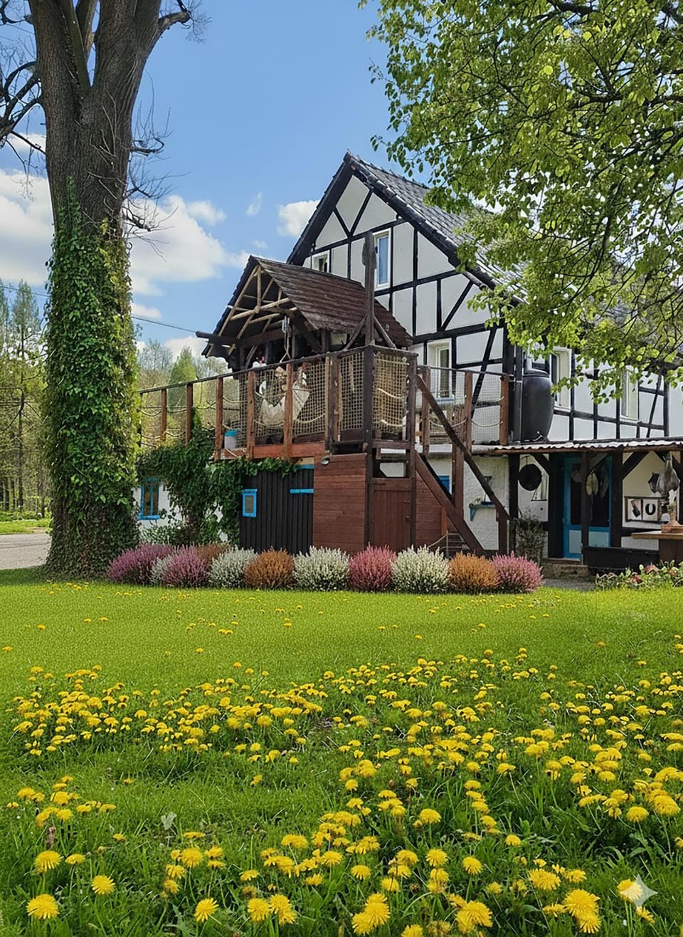 Natural landscape, Garden, pet friendly