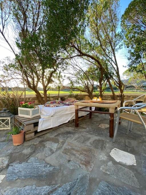 Day, Natural landscape, Garden, Garden view