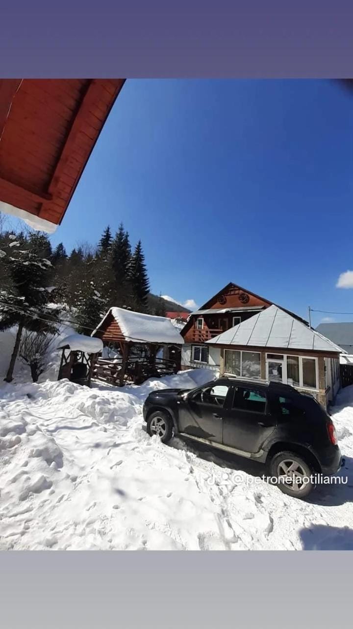 Cabana Larisa Vacation rental in Romania