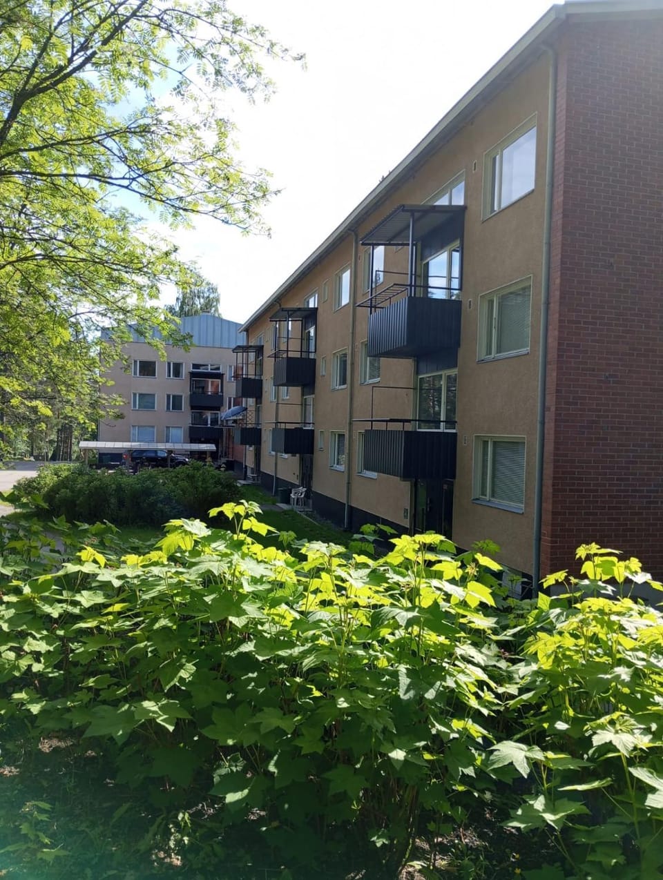 Property building