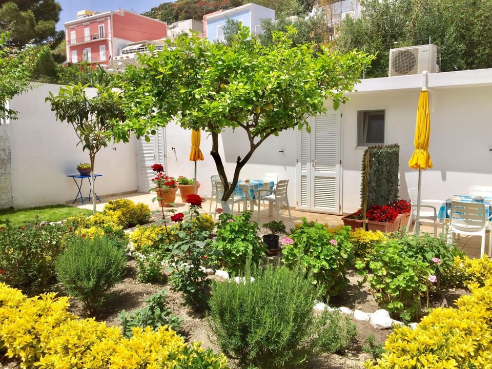 Garden, Garden view