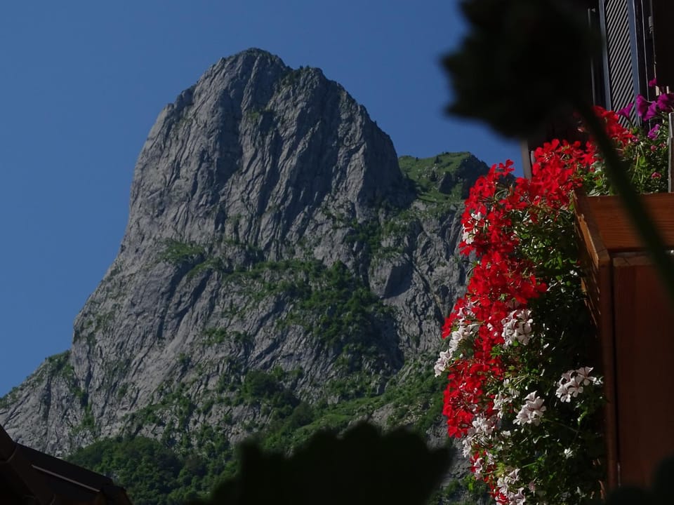 Mountain view
