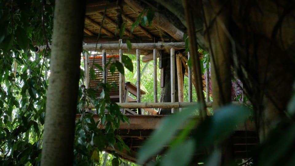 Natural landscape, Balcony/Terrace, Decorative detail