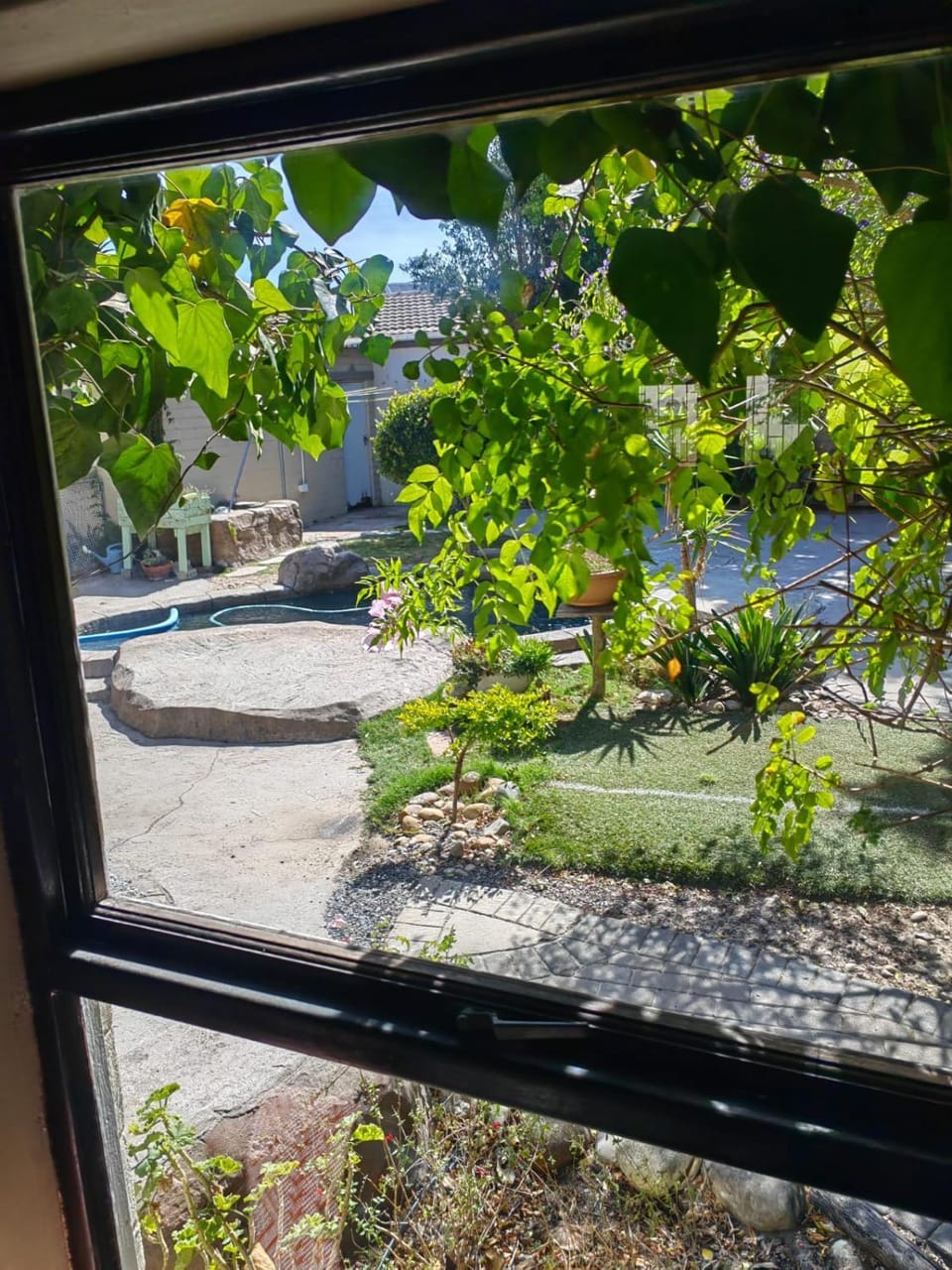 Garden view