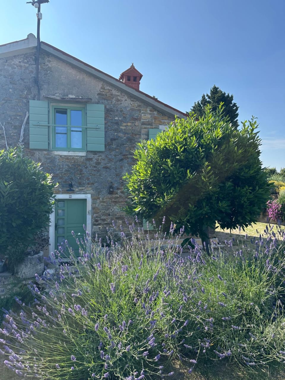 Property building, Garden