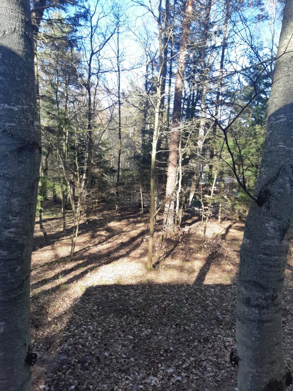 Natural landscape, Garden